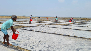 রেকর্ড উৎপাদনের পরও নিয়ন্ত্রণহীন লবণের দাম