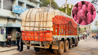 হিলি দিয়ে প্রথমবার ভারত থেকে মিষ্টিআলু আমদানি